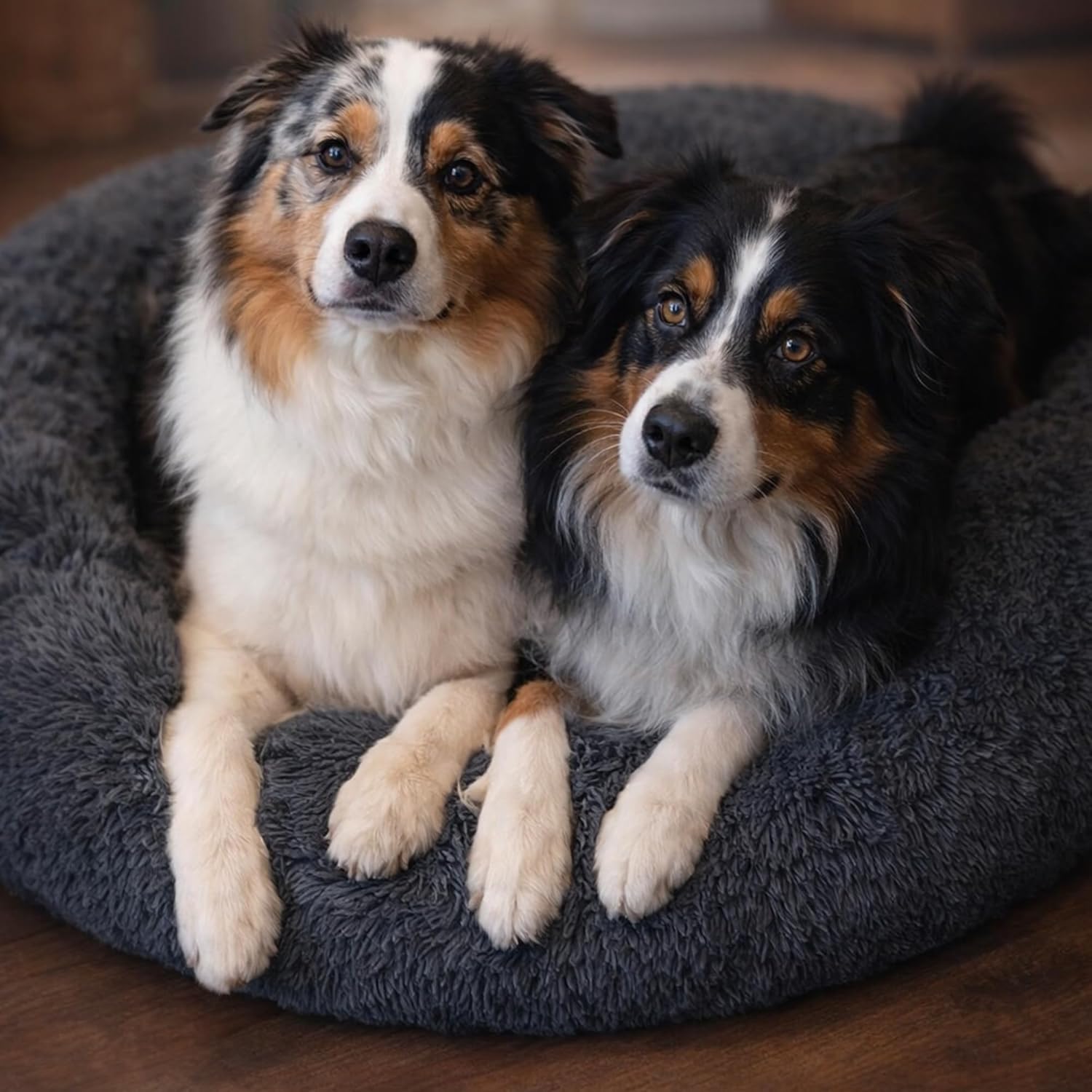 nobelpfote Orthopädisches Hundebett Wolke — gelenkschonend