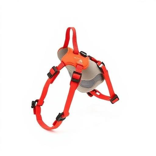 Ruffwear Front Range Hundegeschirr — gepolstert, 2 Leinenringe, reflektierend